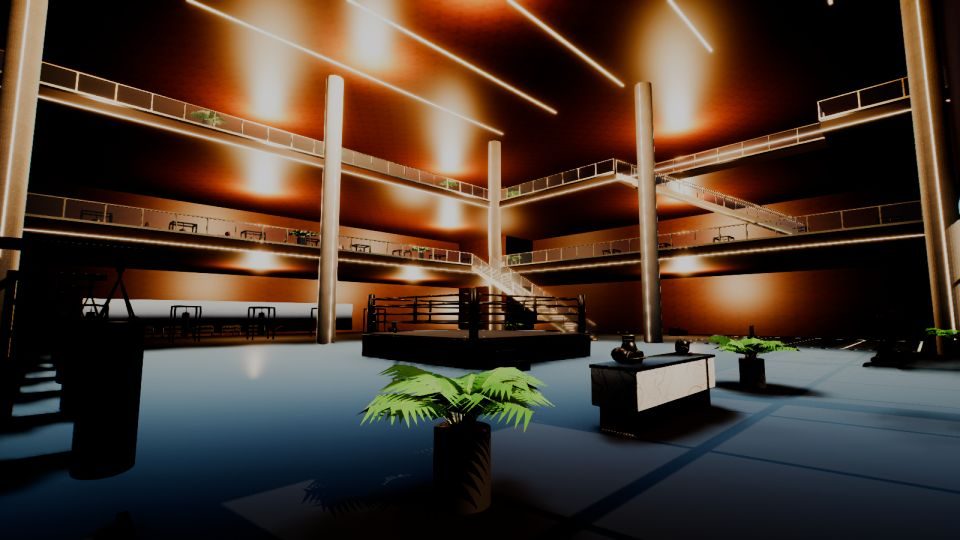 The Quik Punch gym atrium and ring